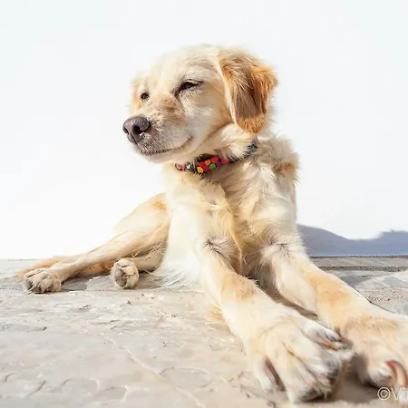 Del Sol Ξενοδοχείο με διαμερίσματα Σκόπελος